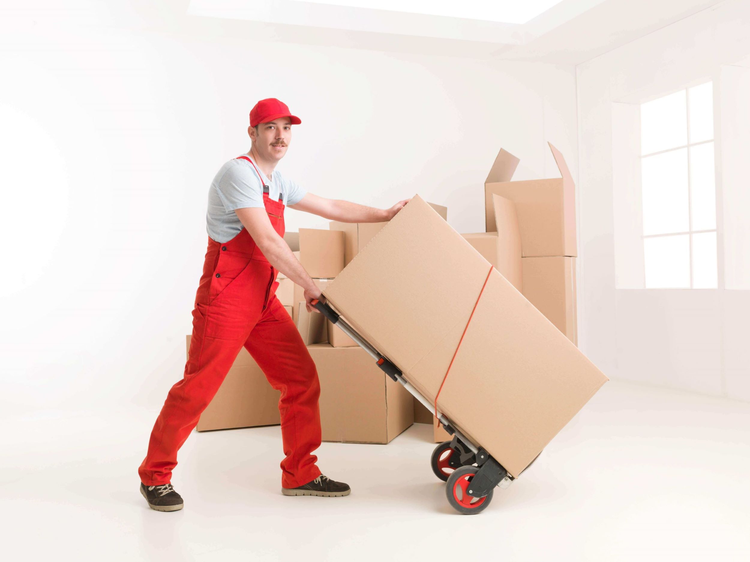 delivery-service1-rev.jpg